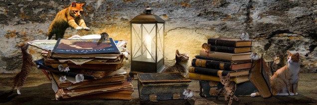 Keller, magische Katzen, Bücher, eine Laterne